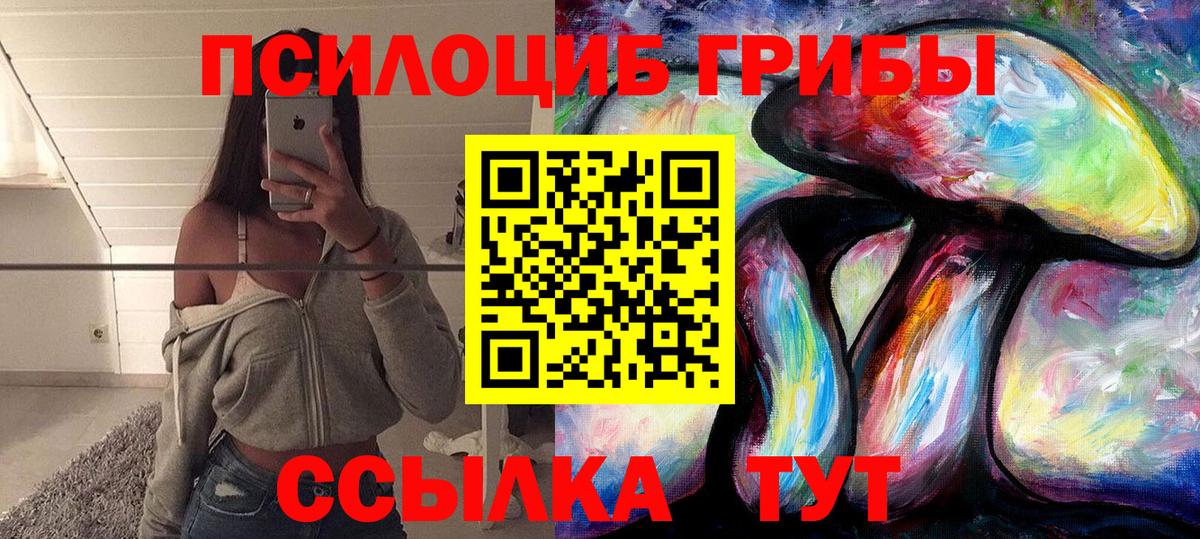 Псилоцибиновые грибы мухоморы Астрахань