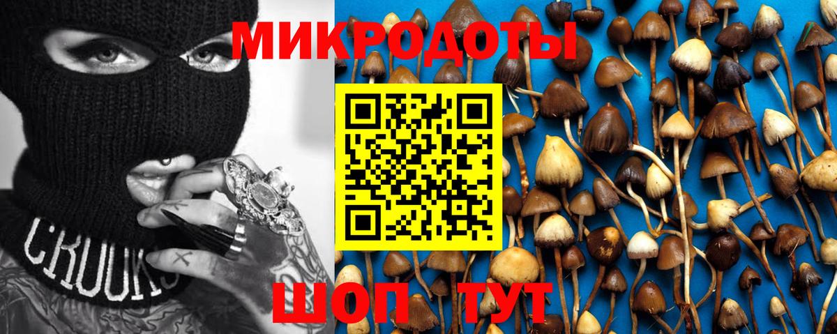 Псилоцибиновые грибы Magic Shrooms  Псилоцибиновые грибы Psilocybe  Астрахань  Вход с VPN 